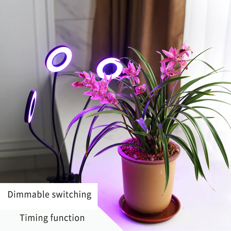 Grow Light 10W/15W LED Lamp For Plants Full Spectrum Growing Lamp With Controller Plant Lights Bulb Indoor Flower Grow
Grow Light 10W/15W LED Lamp For Plants Full Spectrum Growing Lamp With Controller Plant Lights Bulb Indoor Flower Grow