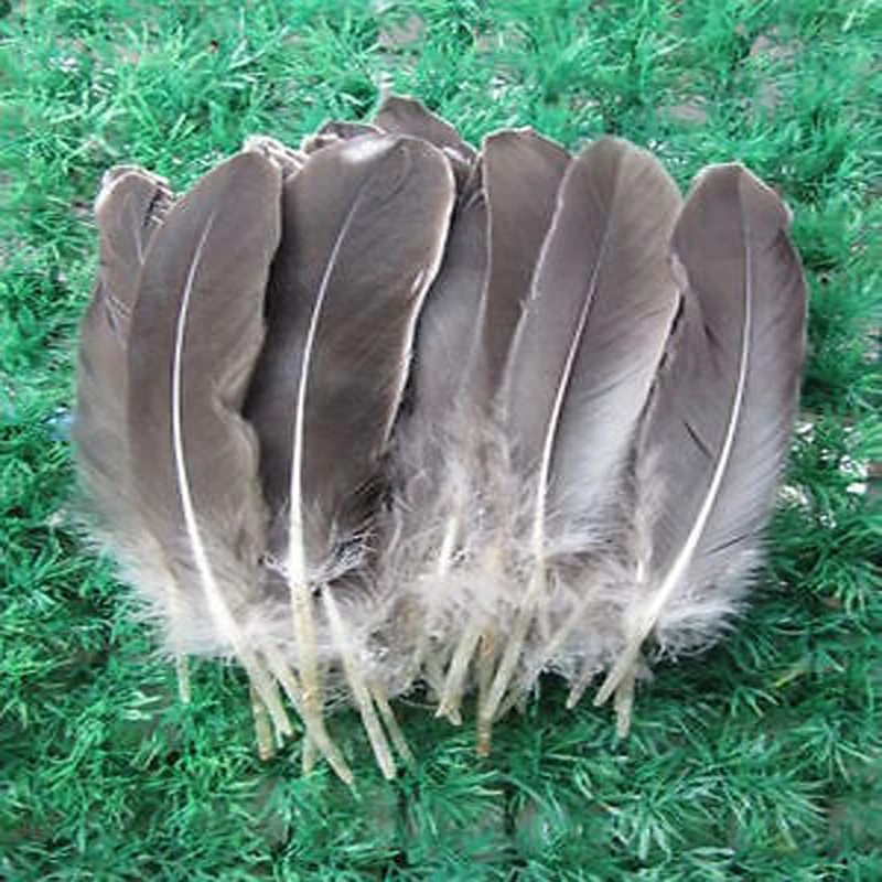 Wholesale! 1000 pcs beautiful natural goose feather floating feather 15-20 cm / 6-8 inch
Wholesale! 1000 pcs beautiful natural goose feather floating feather 15-20 cm / 6-8 inch
