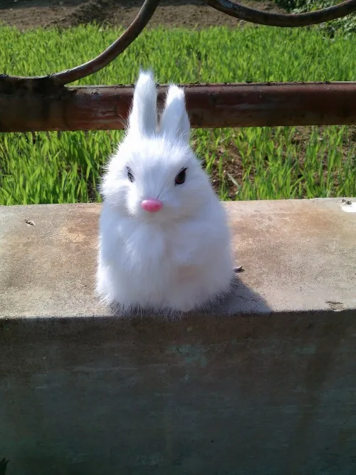 small cute simulaiton white rabbit polyethylene&furs rabbit model gift about 10cmx10cmx14cm
small cute simulaiton white rabbit polyethylene&furs rabbit model gift about 10cmx10cmx14cm