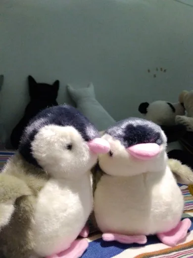 Original Antarctic Penguins Simulation Animal Stuff Animal Plush Toy Doll Children Birthday Gift
Original Antarctic Penguins Simulation Animal Stuff Animal Plush Toy Doll Children Birthday Gift