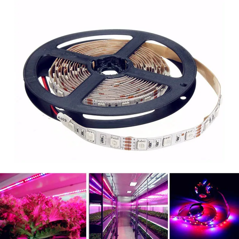 Светодиодные ленты для выращивания растений, гидропонные фонари, неводонепроницаемая лампа для выращивания растений, теплица для рассады, 12 В постоянного тока 5050
Светодиодные ленты для выращивания растений, гидропонные фонари, неводонепроницаемая лампа для выращивания растений, теплица для рассады, 12 В постоянного тока 5050