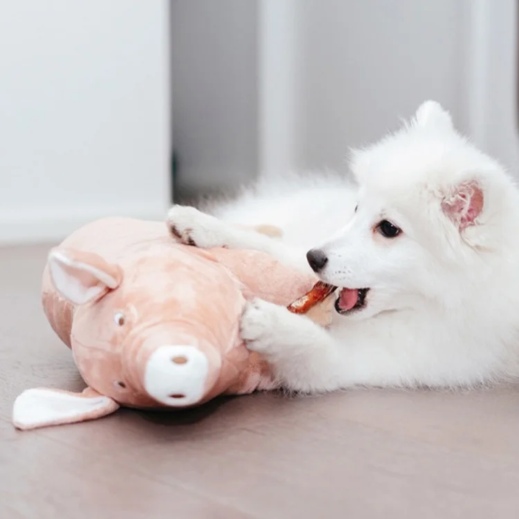 Piggy Plush Toy Doll Throw Pillow Dog Teddy Throw Pillow Pig Fa Dou Schnauzer Dog Cat Plush Sleeping Pig Pet Toys
Piggy Plush Toy Doll Throw Pillow Dog Teddy Throw Pillow Pig Fa Dou Schnauzer Dog Cat Plush Sleeping Pig Pet Toys