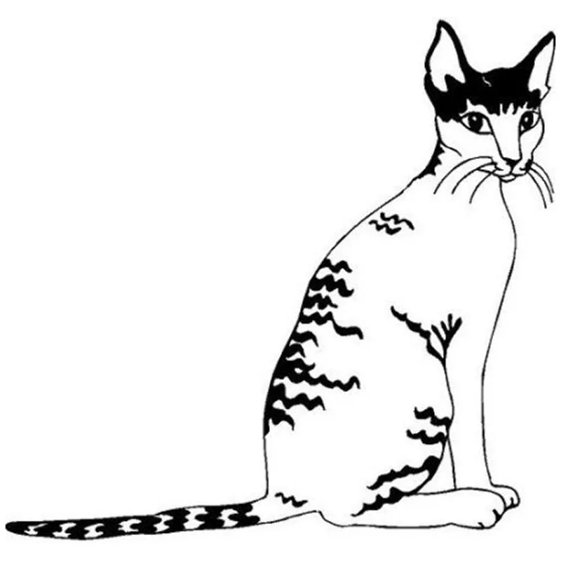 14,1*13,4 см Виниловая наклейка с рисунком кота Корниша Рекс s, классная Популярная Наклейка с рисунком животного для автомобиля
14,1*13,4 см Виниловая наклейка с рисунком кота Корниша Рекс s, классная Популярная Наклейка с рисунком животного для автомобиля