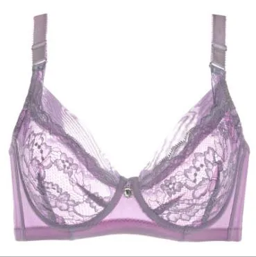 Hot sexy lace thin bras Transparent underwear lingerie Brand Embroidery 36-44 B C D cup Bra push up Ropa Interior Mujer C3396
Hot sexy lace thin bras Transparent underwear lingerie Brand Embroidery 36-44 B C D cup Bra push up Ropa Interior Mujer C3396