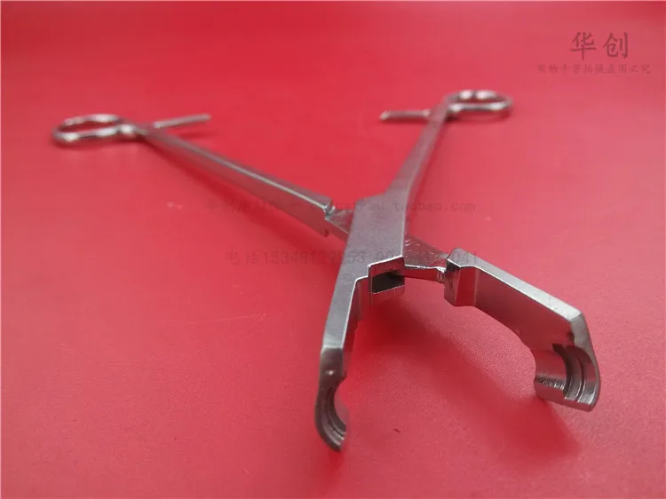 Medical orthopedic instrument U screw holding forceps spinal nail holding plier cervical vertebra pedicle nail lifting device
Medical orthopedic instrument U screw holding forceps spinal nail holding plier cervical vertebra pedicle nail lifting device