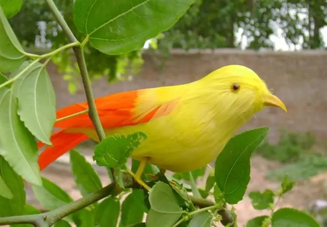 about 12 cm feathers bird model toy,polyethylene resin handicraft,garden decoration a1874
about 12 cm feathers bird model toy,polyethylene resin handicraft,garden decoration a1874