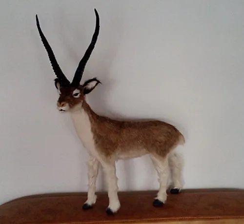 simulation cute antelope 40x57cm model polyethylene&furs antelope model home decoration props ,model gift d430
simulation cute antelope 40x57cm model polyethylene&furs antelope model home decoration props ,model gift d430