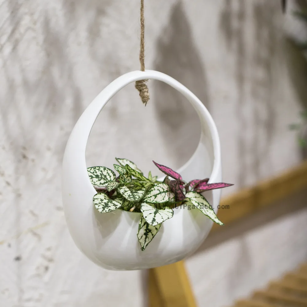 NCYP White Round Hanging Ceramic Flower Pot Basket Vertical Garden Decoration Pot Succulents Plants Holder Wall Ceramic Planter
NCYP White Round Hanging Ceramic Flower Pot Basket Vertical Garden Decoration Pot Succulents Plants Holder Wall Ceramic Planter