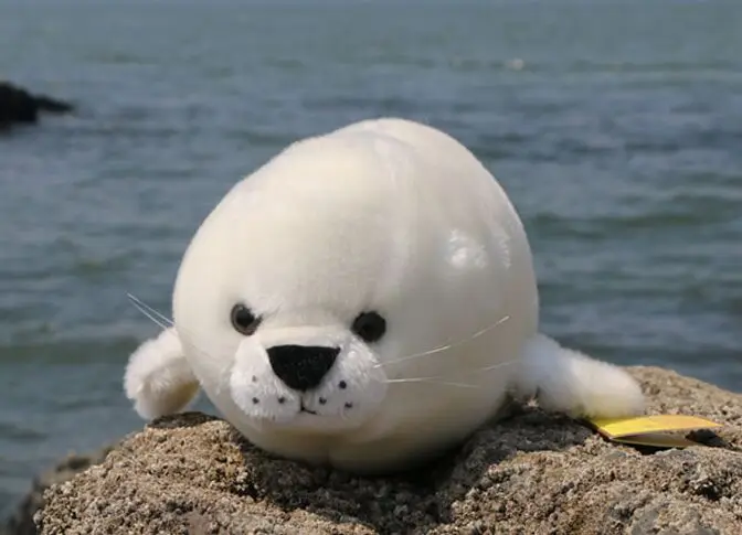 stuffed plush 38 cm white seal plush toy quality goods soft sea dog doll birthday gift b0423
stuffed plush 38 cm white seal plush toy quality goods soft sea dog doll birthday gift b0423