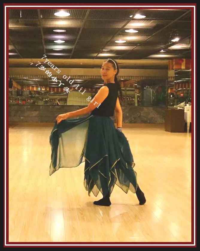 belly dance skirt Chiffon belly dance skirt Italy chiffon 12 angle with 1 side slit long skirt EW80
belly dance skirt Chiffon belly dance skirt Italy chiffon 12 angle with 1 side slit long skirt EW80