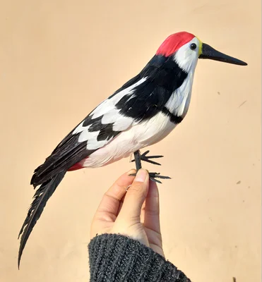 large 30cm foam&feathers woodpecker artificial bird handicraft,garden decoration prop gift a2543
large 30cm foam&feathers woodpecker artificial bird handicraft,garden decoration prop gift a2543