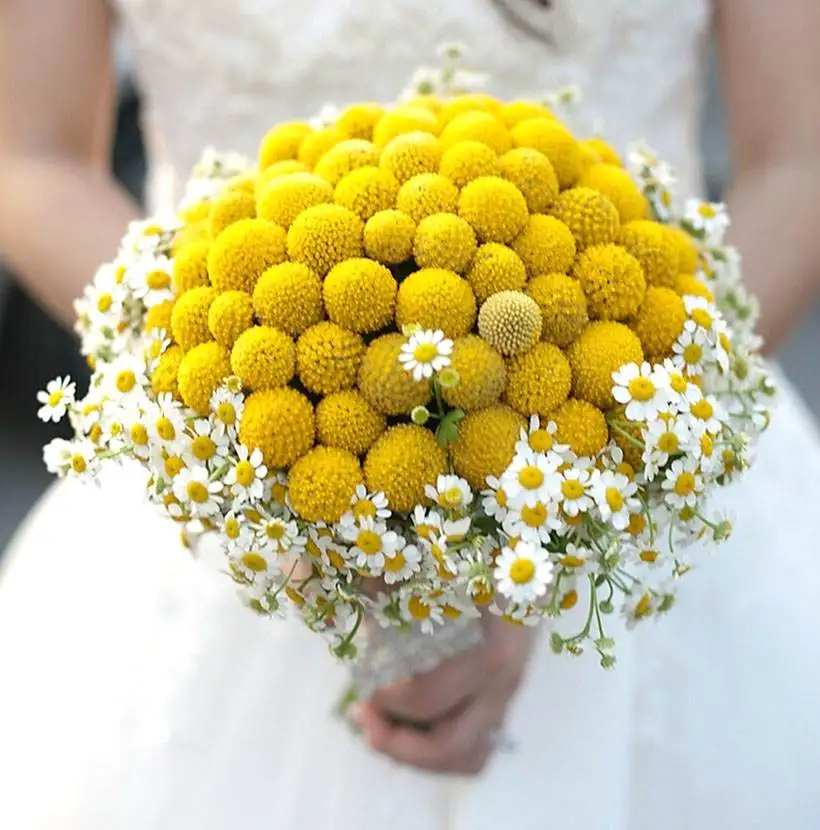 Yellow Billy Ball and White Small Daisy Dried Flowers Bouquet Wedding Bride Decorative Flowers for Home Decoration indoor
Yellow Billy Ball and White Small Daisy Dried Flowers Bouquet Wedding Bride Decorative Flowers for Home Decoration indoor