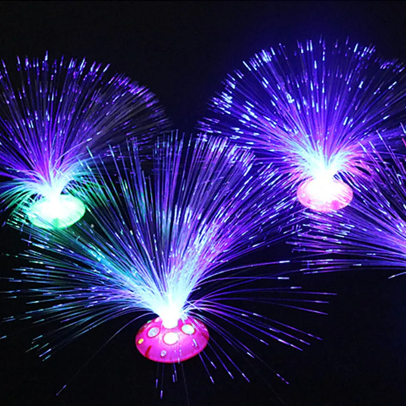 5PCS Creative Color Changing LED Fiber Optic Flower Lamp Small Holiday Nightlight Home Room Wedding Party Decoration
5PCS Creative Color Changing LED Fiber Optic Flower Lamp Small Holiday Nightlight Home Room Wedding Party Decoration