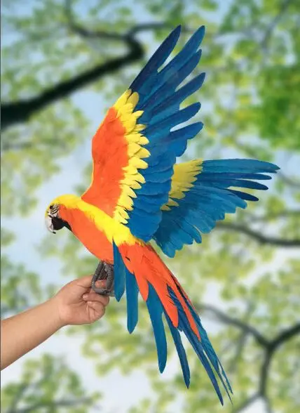 real life toy bird orange-blue feathers parrot large 45x60cm spreading wings parrot bird garden decoration prop toy gift h1885
real life toy bird orange-blue feathers parrot large 45x60cm spreading wings parrot bird garden decoration prop toy gift h1885