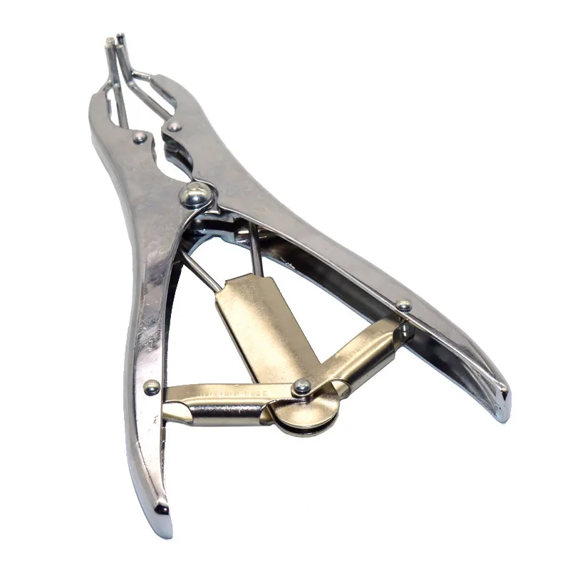 The New Elastic Expansion Clamp Castrated Animals Tails Rubber Ring Castration Animal Castration Ring
The New Elastic Expansion Clamp Castrated Animals Tails Rubber Ring Castration Animal Castration Ring