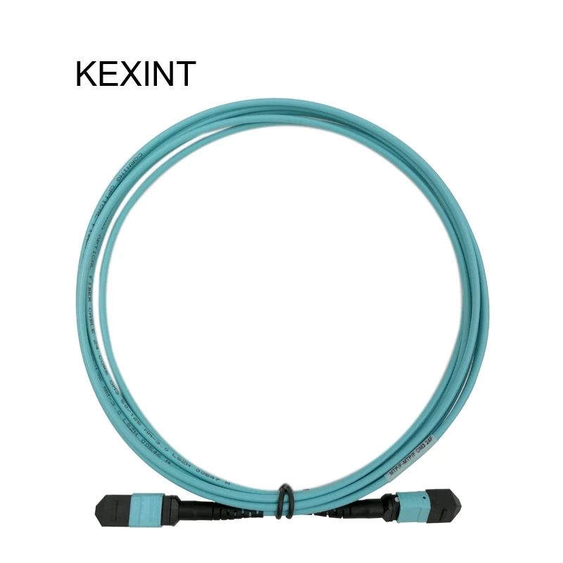 Волоконно-оптический патч-корд KEXINT, 24 ядра, разъем MTP-MTP OM3, оптоволоконный кабель 40G, 3 м
Волоконно-оптический патч-корд KEXINT, 24 ядра, разъем MTP-MTP OM3, оптоволоконный кабель 40G, 3 м