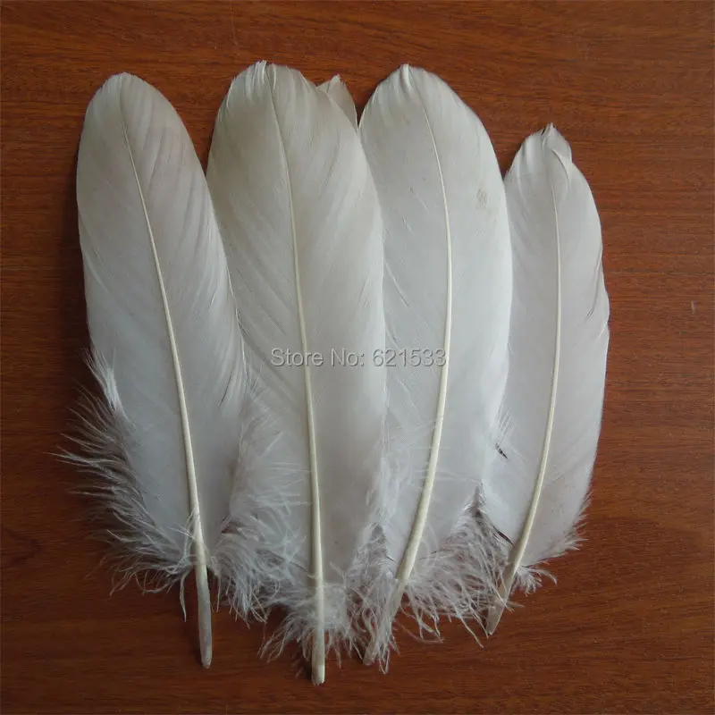 Loose Light Khaki Goose Satinettes feathers(200 Feathers per lot) Perfect for crafts,costume design,headbands,hair fascinators
Loose Light Khaki Goose Satinettes feathers(200 Feathers per lot) Perfect for crafts,costume design,headbands,hair fascinators