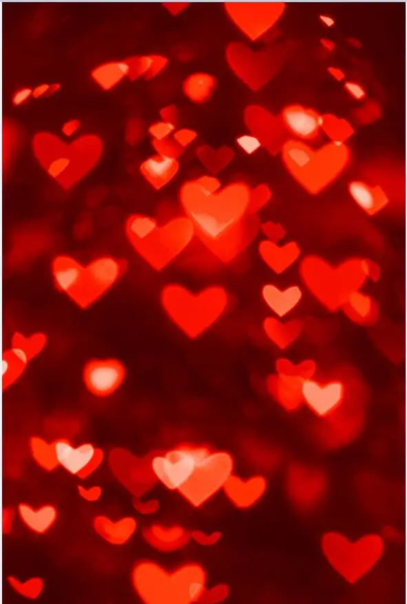 LIFE MAGIC BOX Soft Fabric Bridal Shower Valentine's Day Photo Booth Heart Wedding Photography Backgrounds
LIFE MAGIC BOX Soft Fabric Bridal Shower Valentine's Day Photo Booth Heart Wedding Photography Backgrounds