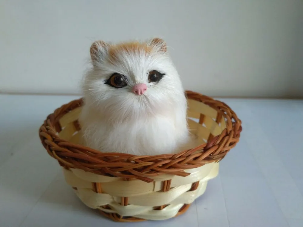 8x5x8 см имитация белого кота с искусственным пластиком и мехом кошка ручная работа реквизит украшение для дома подарок p0137
8x5x8 см имитация белого кота с искусственным пластиком и мехом кошка ручная работа реквизит украшение для дома подарок p0137