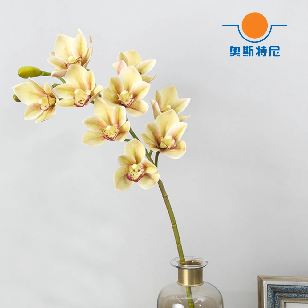 1pcs Beeswax green color artificial Cymbidium orchid bouquets&Cymbidium faberi artificial&artificial Cymbidium grandiflorium
1pcs Beeswax green color artificial Cymbidium orchid bouquets&Cymbidium faberi artificial&artificial Cymbidium grandiflorium