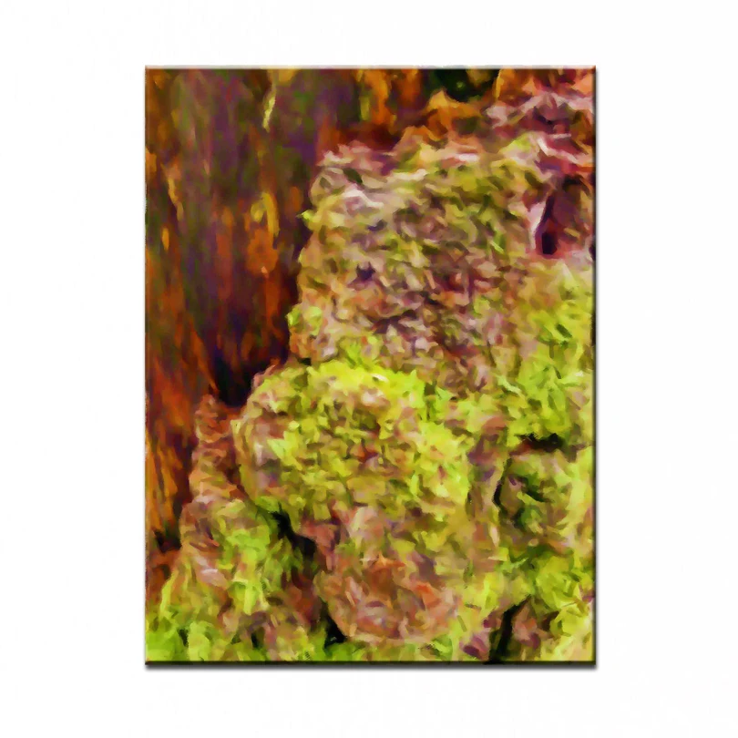NEW 100% hand-painted canvas oil painting high quality home decor landscape pictures DM-15100710
NEW 100% hand-painted canvas oil painting high quality home decor landscape pictures DM-15100710