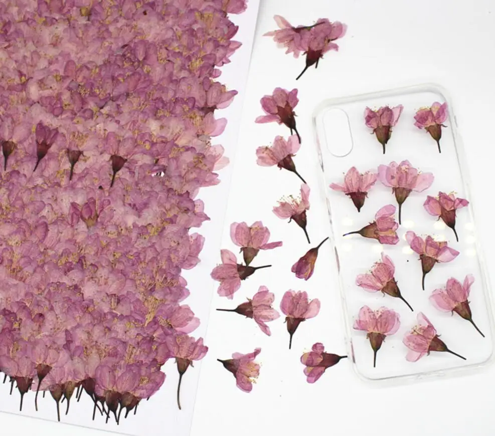 250pcs Pressed Dried Cherry Sakura Flower Plants Herbarium For Resin Jewelry Making Postcard Frame Phone Case Craft DIY
250pcs Pressed Dried Cherry Sakura Flower Plants Herbarium For Resin Jewelry Making Postcard Frame Phone Case Craft DIY
