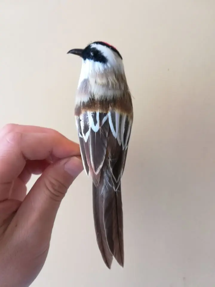 foam&feathers bird about 17cm simulation bird Myiozetetes hard model prop.home garden decoration Xmas gift w0690
foam&feathers bird about 17cm simulation bird Myiozetetes hard model prop.home garden decoration Xmas gift w0690