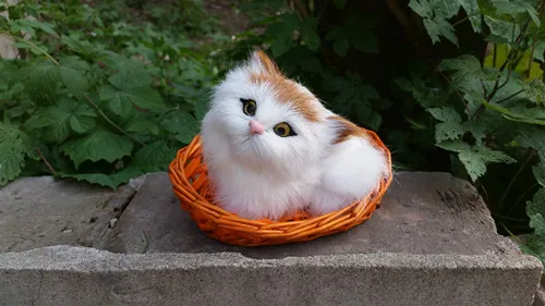 cute simulation cat polyethylene & fur yellow head cat model in a basket gift about 12x10cm169
cute simulation cat polyethylene & fur yellow head cat model in a basket gift about 12x10cm169