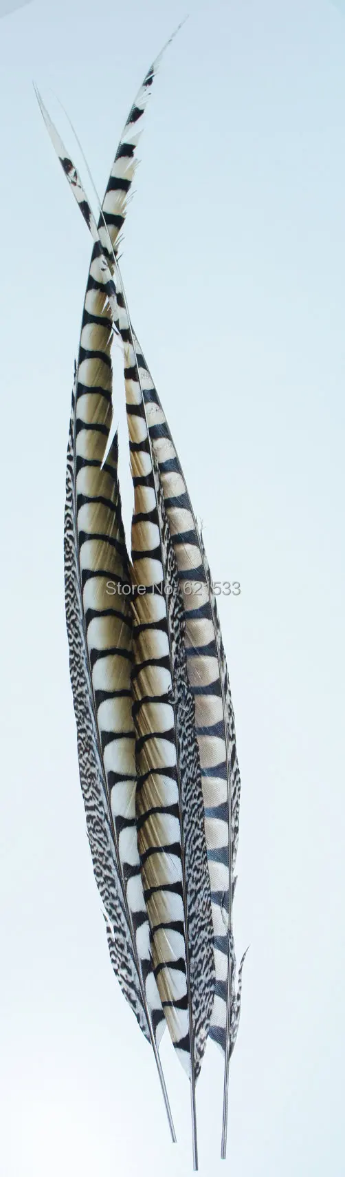 10pcs,76-80cm Nature Lady Amherst pheasant side tail feather, great for home decor, costumes, headdresses,&weddings
10pcs,76-80cm Nature Lady Amherst pheasant side tail feather, great for home decor, costumes, headdresses,&weddings