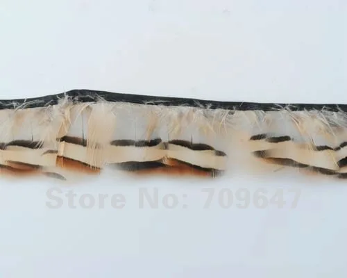 Alectoris chukar feather fringe of natural color 2 yards trim Height approx 5cm,Small Feathers,Feather Lace
Alectoris chukar feather fringe of natural color 2 yards trim Height approx 5cm,Small Feathers,Feather Lace