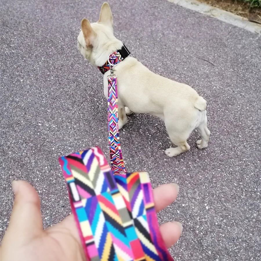Pet Product For Dog Pet Collar Leash Nylon High Quality Multiple Series Colorful Fashion New Design Dog Collar Adjustable
Pet Product For Dog Pet Collar Leash Nylon High Quality Multiple Series Colorful Fashion New Design Dog Collar Adjustable
