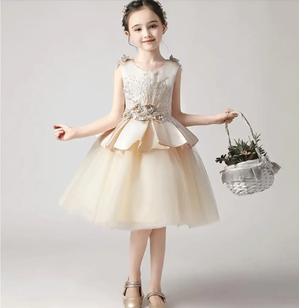 Champagne Tulle Princess Dress for Girl First Birthday Gorgeous Lace Ball Gown Pageant Girl Dresses for Wedding Party Costumes
Champagne Tulle Princess Dress for Girl First Birthday Gorgeous Lace Ball Gown Pageant Girl Dresses for Wedding Party Costumes
