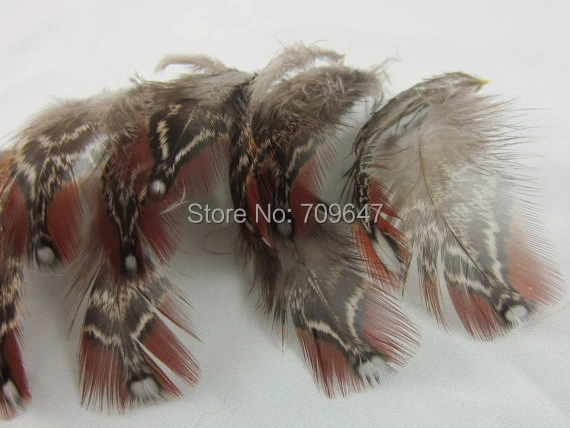 Feathers Natural! 100Pcs/lot!5-7CM long Natural Tragopan Pheasant feathers brown craft feathers for Crafts&Costume
Feathers Natural! 100Pcs/lot!5-7CM long Natural Tragopan Pheasant feathers brown craft feathers for Crafts&Costume