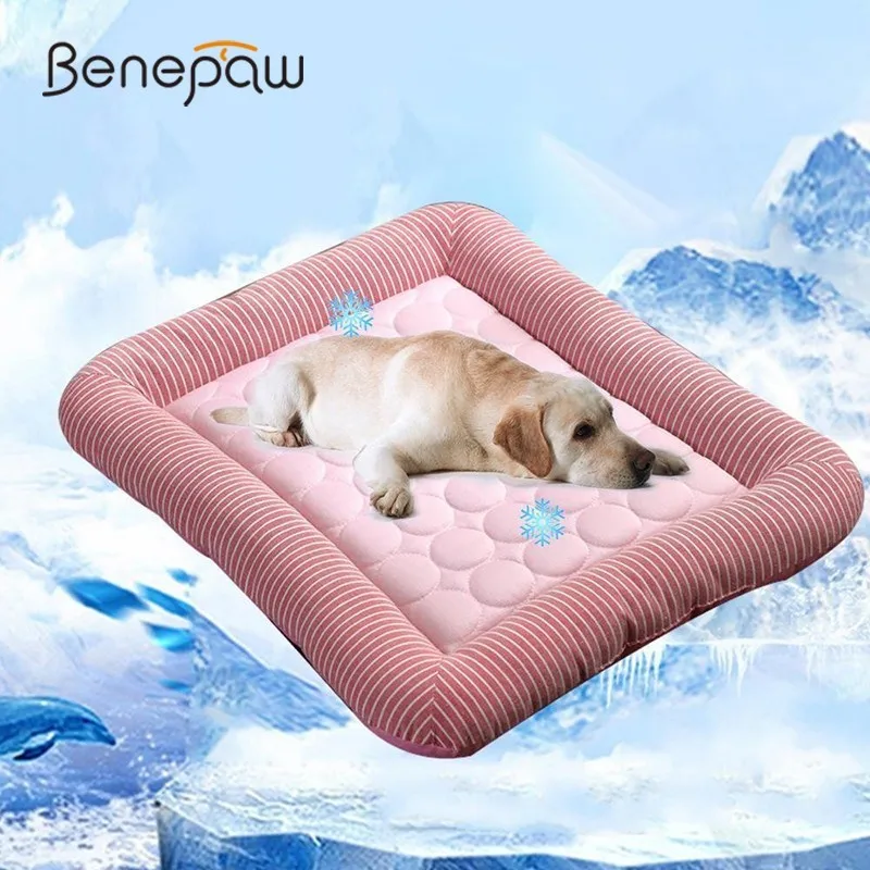 Benepaw Summer Breathable Dog Cooling Mat Eco-friendly Washable Puppy Dog Beds For Medium Small Dogs Sleeping Pet Mattress
Benepaw Summer Breathable Dog Cooling Mat Eco-friendly Washable Puppy Dog Beds For Medium Small Dogs Sleeping Pet Mattress