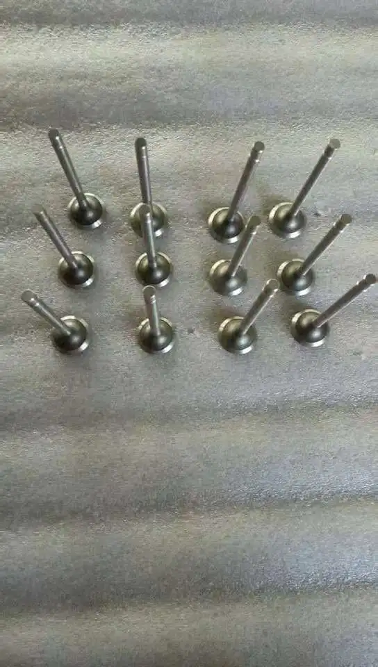 New set of 12 Intake Exhaust Engine Valves For D6114JQB-J engine D6114JQB-J D6114JQB-P
New set of 12 Intake Exhaust Engine Valves For D6114JQB-J engine D6114JQB-J D6114JQB-P