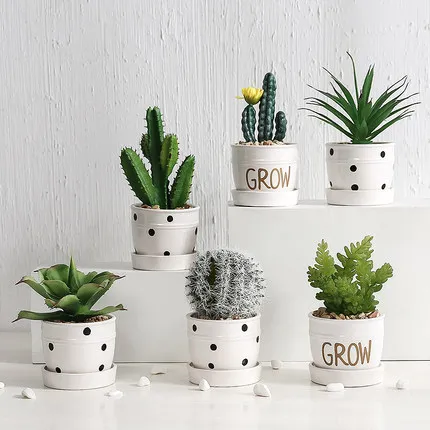 Nordic Simulation Plant Cactus Ornaments Creative Succulent Potted Ins Decorative Green Plant Fake Flower Desktop Small Bonsai
Nordic Simulation Plant Cactus Ornaments Creative Succulent Potted Ins Decorative Green Plant Fake Flower Desktop Small Bonsai