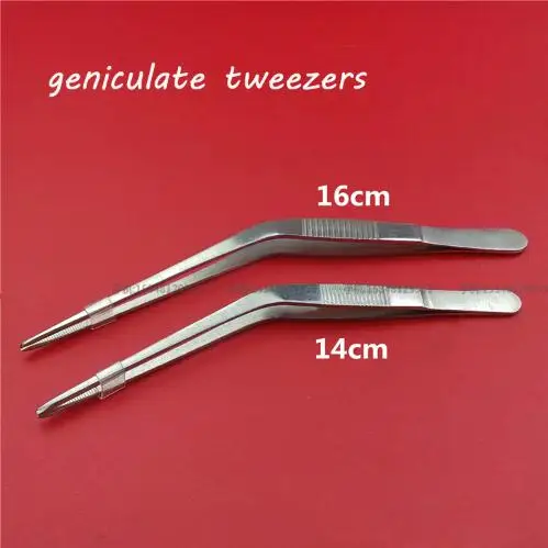 Medical stainless steel geniculate tweezers otology use curved tweezers aural forceps ear wax cleaner Earpick nasal cavity
Medical stainless steel geniculate tweezers otology use curved tweezers aural forceps ear wax cleaner Earpick nasal cavity
