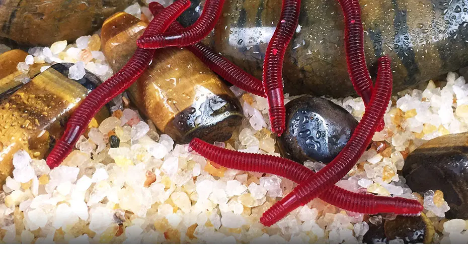 Lombrices artificiales INFOF para pesca en vegetación densa y estructuras