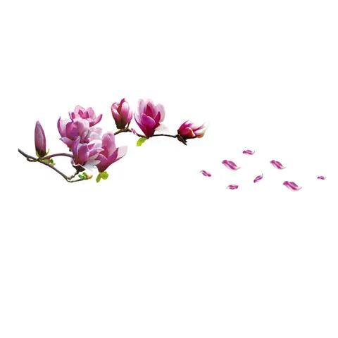 Romantic Magnolia Flower Wall Sticker Living Room Bedroom Background Decor Art Decals Home Decoration Removable Stickers