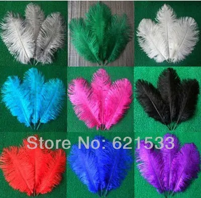 Wholesale 50PCS/LOT Quality Natural OSTRICH FEATHERS 10-12' inch Color Selection
Wholesale 50PCS/LOT Quality Natural OSTRICH FEATHERS 10-12' inch Color Selection