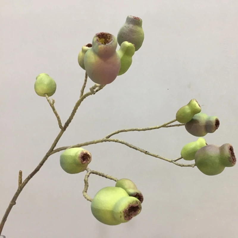 6pcs 62cm Eucalyptus Zombie Fruit Upscale American Style Pastoral Decoration Ceremonies Adornment High-Grade Simulation Plant
6pcs 62cm Eucalyptus Zombie Fruit Upscale American Style Pastoral Decoration Ceremonies Adornment High-Grade Simulation Plant