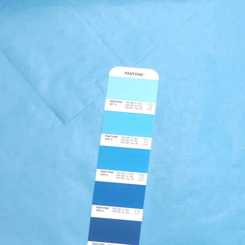 250pcs Light Blue Tissue Paper 50x70cm Pom Poms DIY for Home Decor and Wedding Decor
250pcs Light Blue Tissue Paper 50x70cm Pom Poms DIY for Home Decor and Wedding Decor