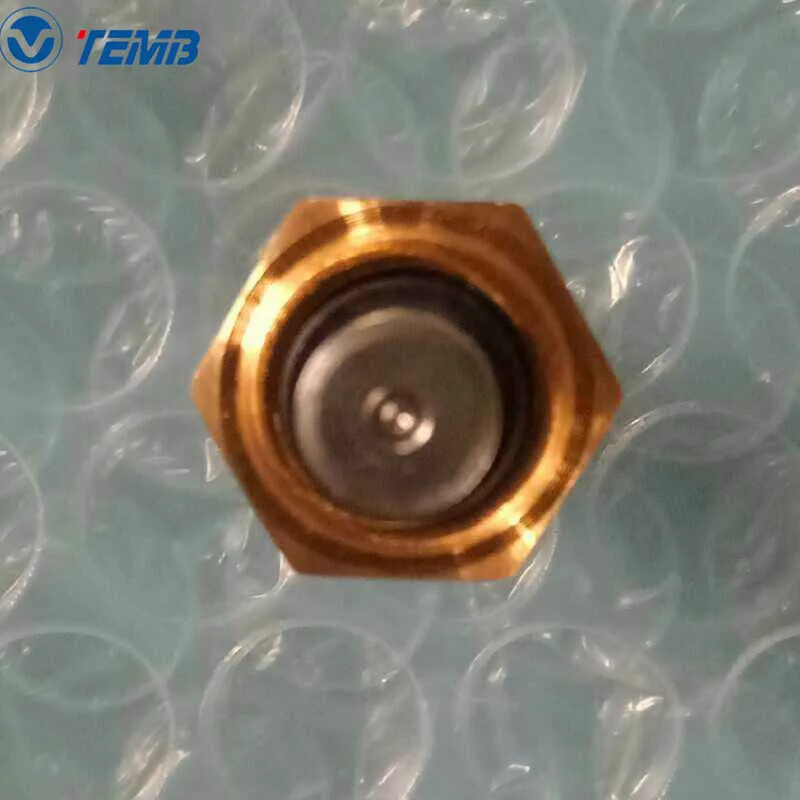 049919501 Coolant Temperature Sensor For VOLKSWAGEN For SEAT For VOLVO For VALEO
049919501 Coolant Temperature Sensor For VOLKSWAGEN For SEAT For VOLVO For VALEO
