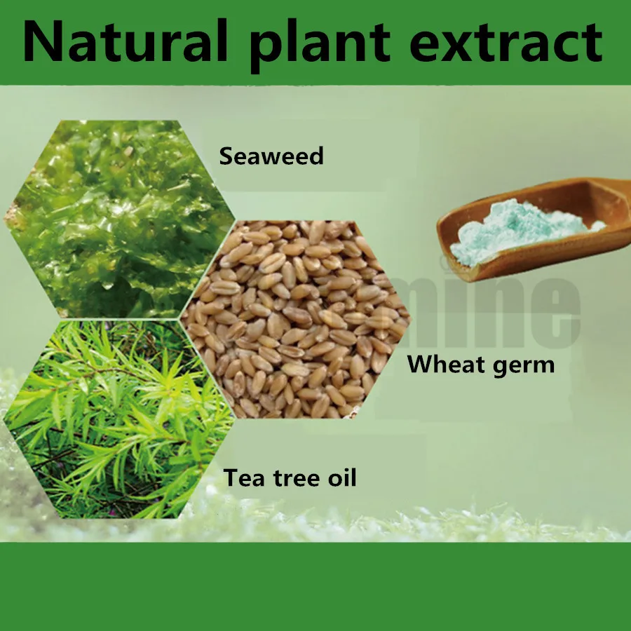 800g Tea Tree Essential Oil Modeling Peel Off Mask Powder Soft Film Powder High Quality Beauty Salon Equipment
800g Tea Tree Essential Oil Modeling Peel Off Mask Powder Soft Film Powder High Quality Beauty Salon Equipment