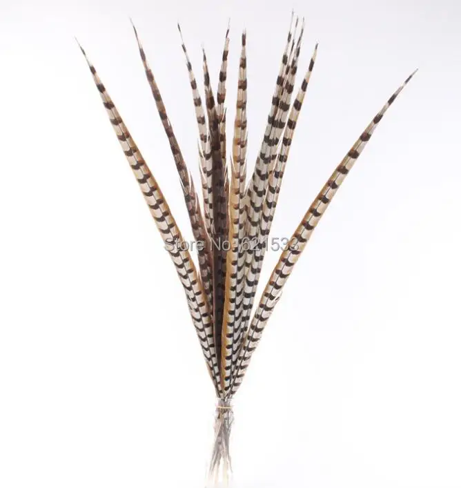 10Pcs/lot,80-90cm Pheasant Feathers, Natural Reeves Venery Pheasant Tail Feathers,Reeves Tails,Plume Decoration
10Pcs/lot,80-90cm Pheasant Feathers, Natural Reeves Venery Pheasant Tail Feathers,Reeves Tails,Plume Decoration