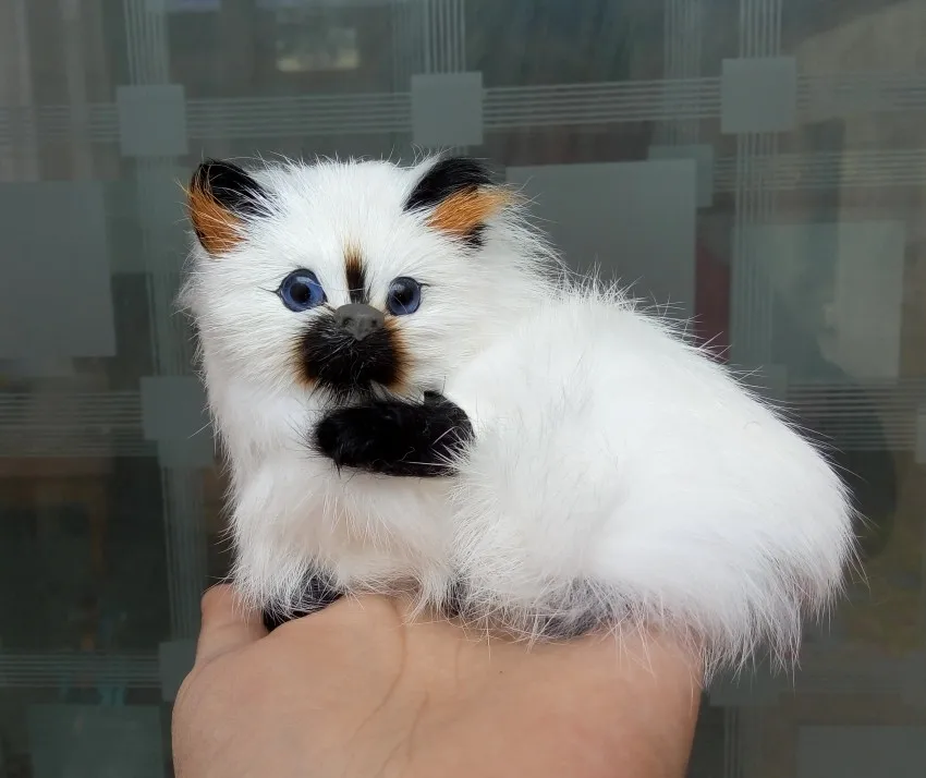 about 11x9cm white cat model, polyethylene&furs handicraft Figurines home decoration toy gift a2784
about 11x9cm white cat model, polyethylene&furs handicraft Figurines home decoration toy gift a2784