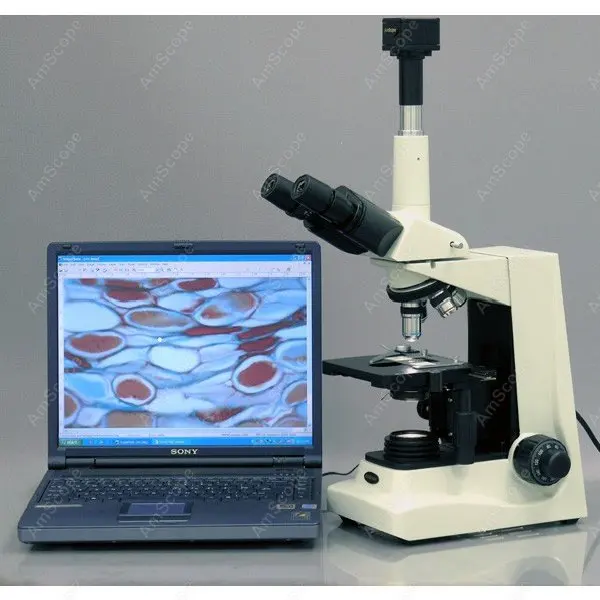 Тринокулярный микроскоп -- AmScope поставляет современный Тринокулярный составной Микроскоп 40X-1600X
Тринокулярный микроскоп -- AmScope поставляет современный Тринокулярный составной Микроскоп 40X-1600X