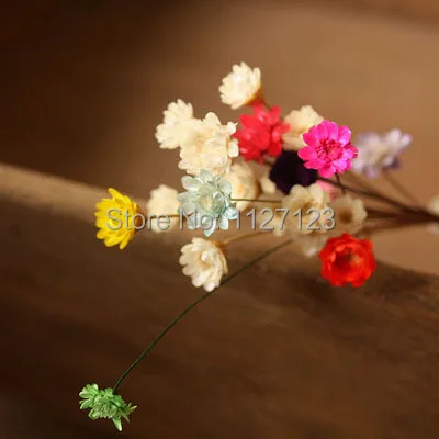 Free shippin!!! 100pcs Mix colour Dried flowers, wild chrysanthemum flower, Daisy, the glass, filler
Free shippin!!! 100pcs Mix colour Dried flowers, wild chrysanthemum flower, Daisy, the glass, filler