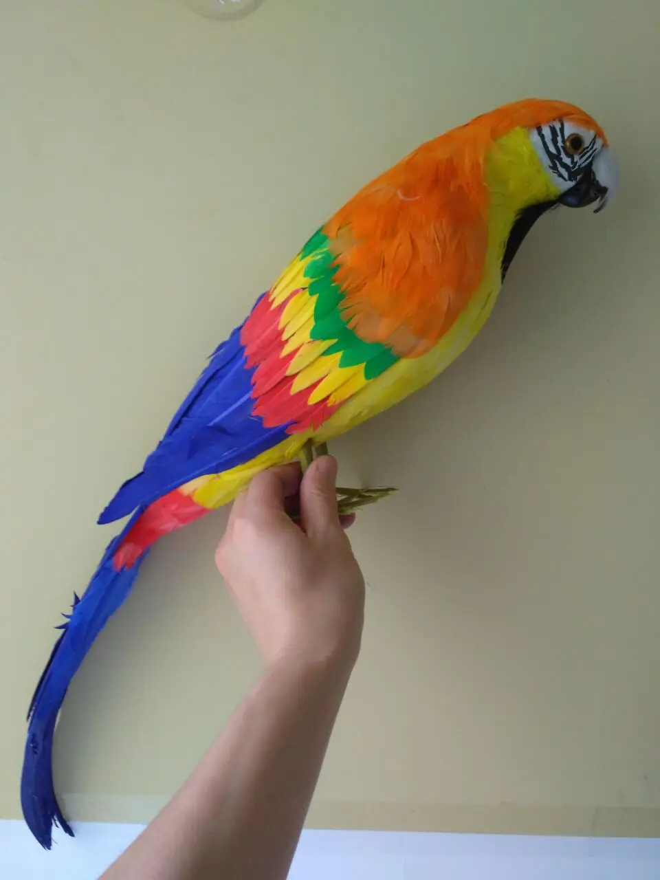 big creative simulation colorful parrot toy foam&feathers large parrot model about 60cm
big creative simulation colorful parrot toy foam&feathers large parrot model about 60cm