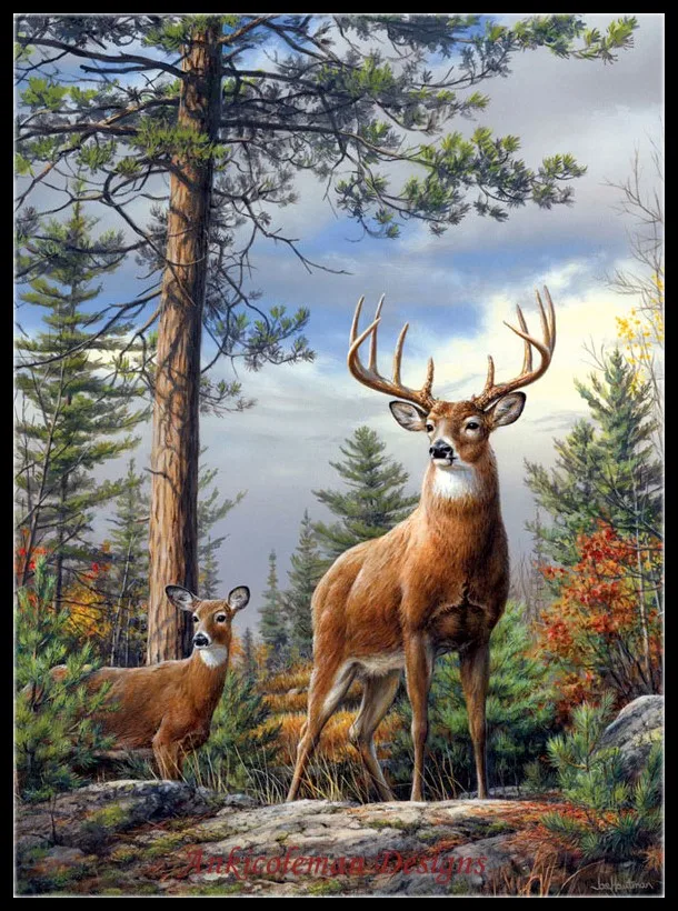 Needlework for embroidery X-stitch DIY French DMC High Quality - Counted Cross Stitch Kits 14 ct Oil painting - Standing Proud
Needlework for embroidery X-stitch DIY French DMC High Quality - Counted Cross Stitch Kits 14 ct Oil painting - Standing Proud